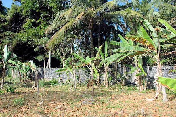 Grundst�ck bei Amlapura Bali