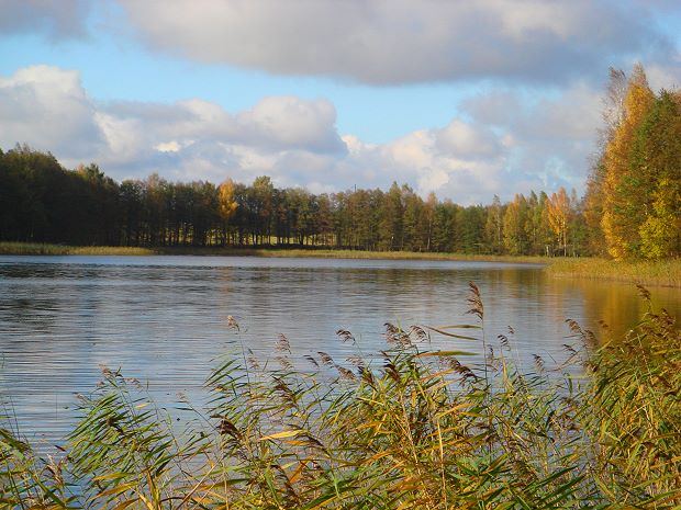 Seegrundstck bei Veisiejai Litauen