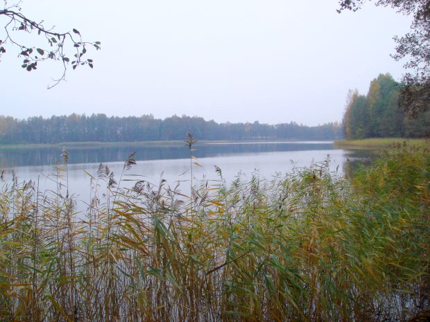 Grundstcke am See Teirus bei Sadziunai Litauen