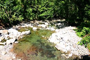 Bach am Grundst�ck