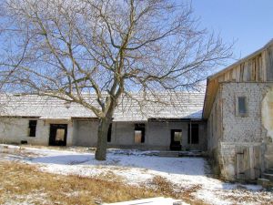 Weinhof zum Ausbau in Rumnien