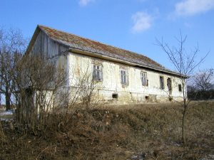 Weingut bei Arad in Rumnien