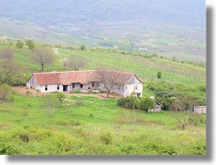 Weingut mit Weinbergen bei Arad im Banat Rumänien Weingut mit Weinbergen bei Arad im Banat Rumänien