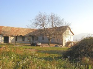 Weinhof zum Ausbau in Rumnien bei Arad