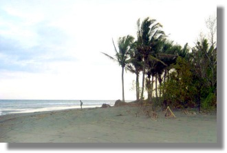 Grundst�cke bei Negara Jembrana Bali