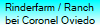 Rinderfarm / Ranch
bei Coronel Oviedo